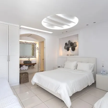 ホテル アイビスカス ブティック Mykonos Town