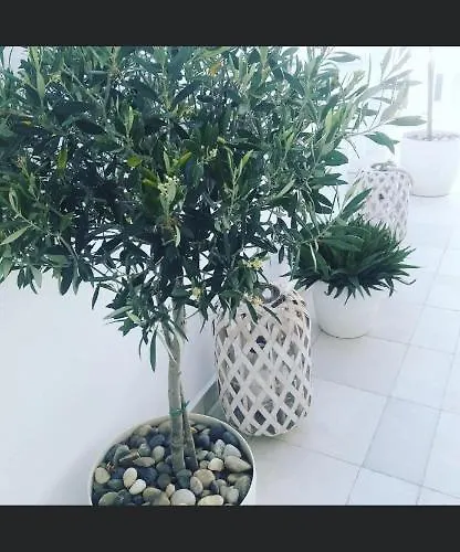 이비스커스 부티크 3* Mykonos Town