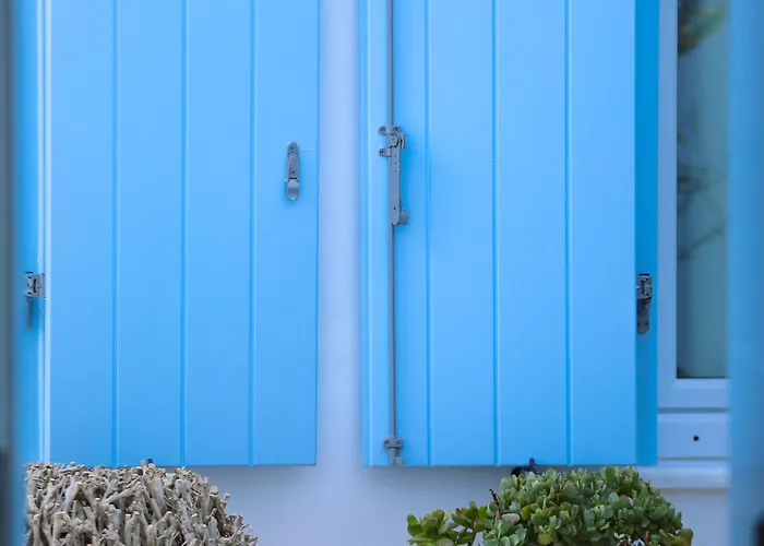 이비스커스 부티크 3*