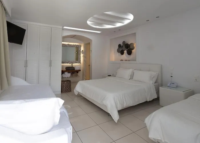 이비스커스 부티크 Mykonos Town