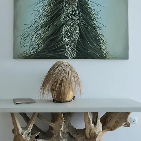 Ibiscus Boutique Ξενοδοχείο Mykonos Town