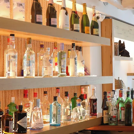 Hotel Ibiscus Boutique