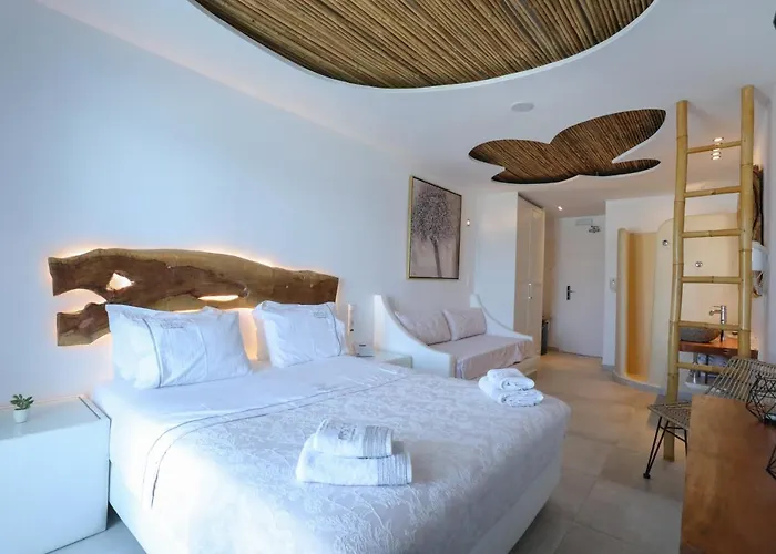 Hotel Ibiscus Boutique